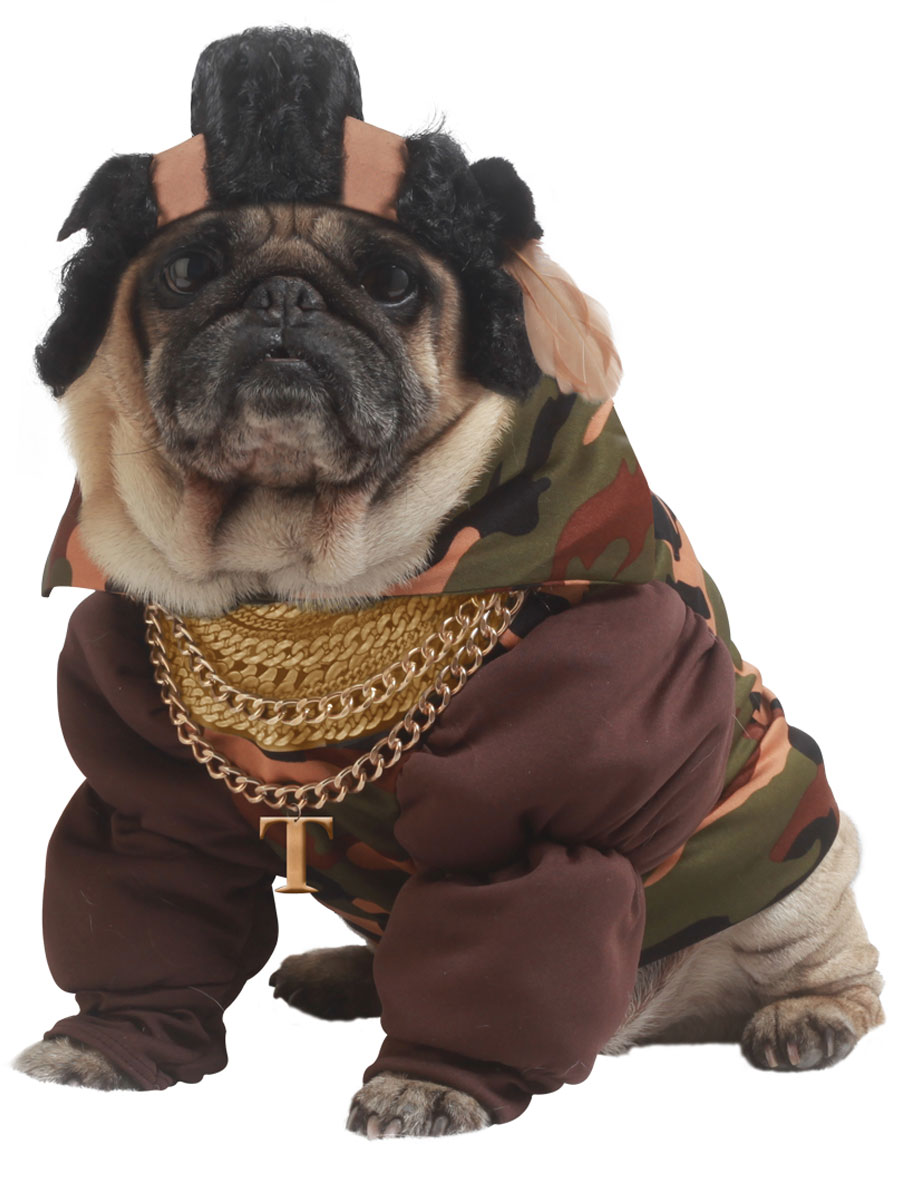 Top Bulldog Costume For Dog Check it out now | bulldogs